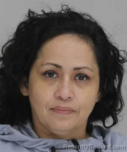 Mugshot of ANITA GONZALES