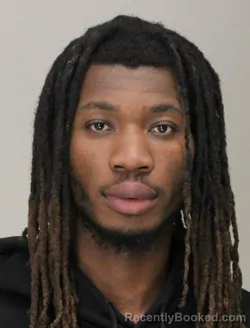 Mugshot of SERGE NTUMBA