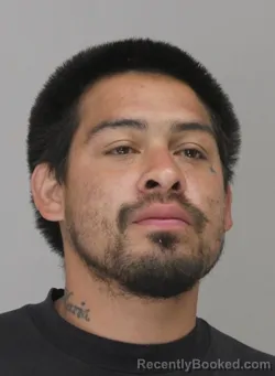 Mugshot of ERIK GAMBOA