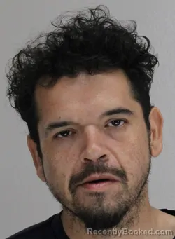 Mugshot of LUIS GARCIA