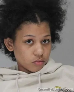 Mugshot of MEADOW MOFFETT