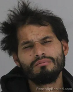 Mugshot of ROLANDO RAMOS