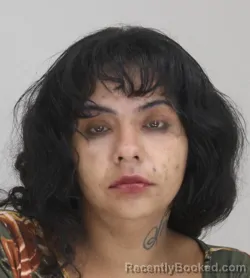 Mugshot of ASHLEY FLORES