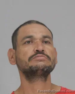 Mugshot of JUAN MENA
