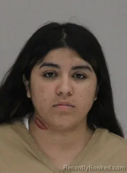Mugshot of ALICE SANCHEZ