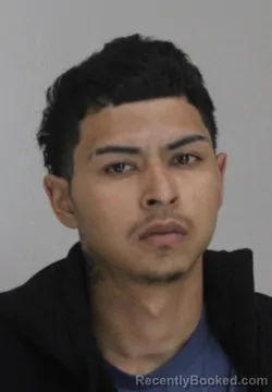 Mugshot of ALEXIS REYES