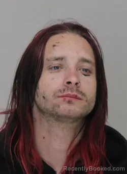 Mugshot of DAMON HARRIS booked in Dallas County, Texas on March 28, 2026