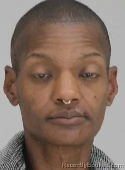 Mugshot of KARI JAMES booked in Dallas County, Texas on March 28, 2026