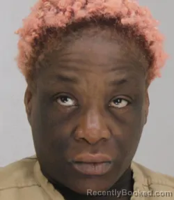 Mugshot of LATONYA PHILLIPS booked in Dallas County, Texas on March 28, 2026