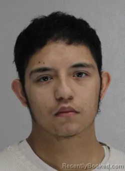 Mugshot of DAVIDJULIAN FERDIN booked in Dallas County, Texas on March 29, 2026