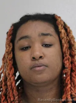 Mugshot of TAMARA HALL booked in Dallas County, Texas on March 29, 2026