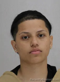 Mugshot of DANIELA FLORESHENRIGUEZ booked in Dallas County, Texas on March 29, 2026