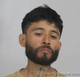 Mugshot of GUSTAVO ADOLFO booked in Dallas County, Texas on March 30, 2026