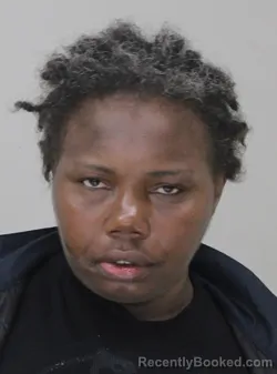 Mugshot of KIMBERLY SHOTO booked in Dallas County, Texas on March 30, 2026