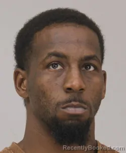 Mugshot of KELLY ELLIS booked in Dallas County, Texas on March 30, 2026