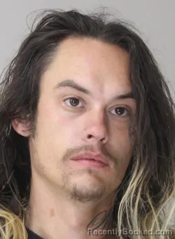 Mugshot of MATHEW MULLINS booked in Dallas County, Texas on March 30, 2026