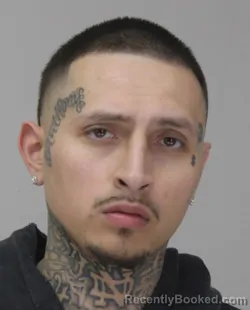 Mugshot of ALEX BACA booked in Dallas County, Texas on March 30, 2026