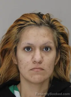 Mugshot of DIANA PALOMARES booked in Dallas County, Texas on March 30, 2026