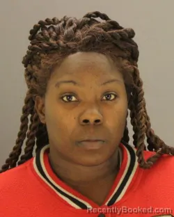 Mugshot of PAMELA NICHOLS booked in Dallas County, Texas on March 31, 2026