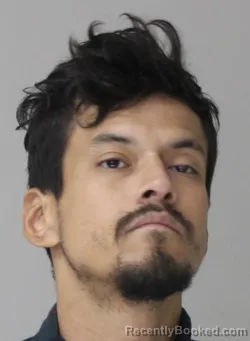 Mugshot of RICARDO PADILLA booked in Dallas County, Texas on March 31, 2026