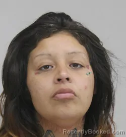 Mugshot of VANESSA GONZALEZ booked in Dallas County, Texas on March 31, 2026