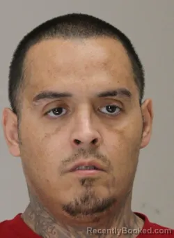 Mugshot of NELSON MAYA booked in Dallas County, Texas on March 31, 2026