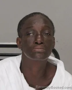 Mugshot of JUDY FREEMAN booked in Dallas County, Texas on March 31, 2026