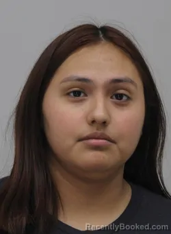 Mugshot of ANGELICA HERNANDEZ booked in Dallas County, Texas on April 1, 2026