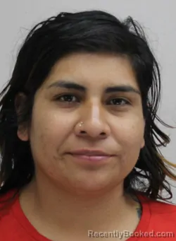 Mugshot of YVETE PERALTATORRES booked in Dallas County, Texas on April 1, 2026