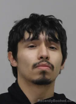 Mugshot of DANIEL ROSALES booked in Dallas County, Texas on April 1, 2026