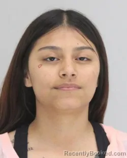 Mugshot of MIRNA ARBIZU booked in Dallas County, Texas on April 1, 2026