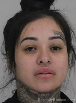 Mugshot of BRANDI BOTELLO booked in Dallas County, Texas on April 1, 2026