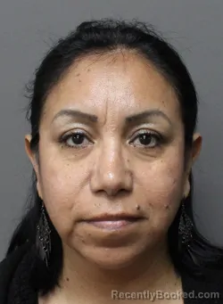 Mugshot of ESTHER ROADY booked in Dallas County, Texas on April 2, 2026