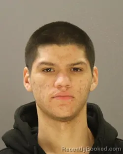 Mugshot of Santana Vega
