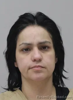 Mugshot of CASSANDRA SILVA booked in Dallas County, Texas on April 2, 2026