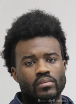 Mugshot of LATAVION MADKINS booked in Dallas County, Texas on April 2, 2026