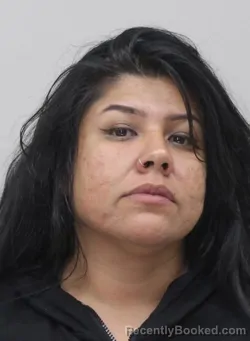 Mugshot of LILI ROSALES booked in Dallas County, Texas on April 2, 2026