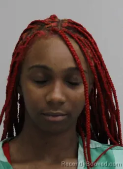 Mugshot of BREUNNA SMITH booked in Dallas County, Texas on April 2, 2026