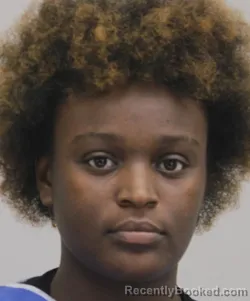 Mugshot of MAKENZIE MCCLENDON booked in Dallas County, Texas on April 2, 2026