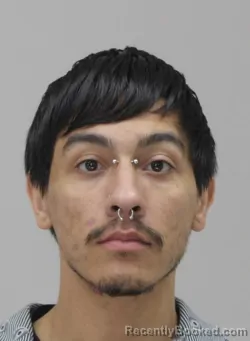 Mugshot of CANYON GONZALES booked in Dallas County, Texas on April 6, 2026