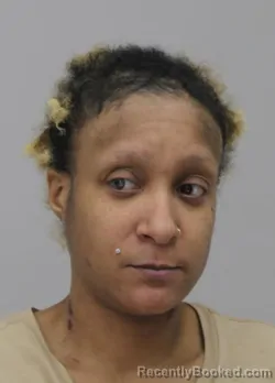 Mugshot of KERSTIN STOVALL booked in Dallas County, Texas on April 6, 2026