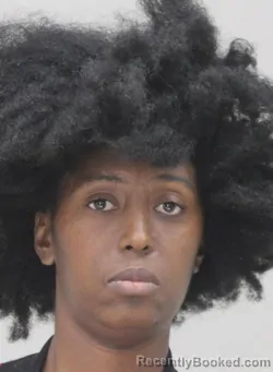 Mugshot of CHEAMIL MERRILL booked in Dallas County, Texas on April 6, 2026