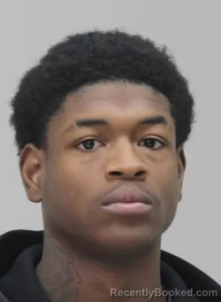 Mugshot of LOGAN MAYS booked in Dallas County, Texas on April 6, 2026