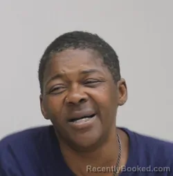 Mugshot of MONA HAMILTON booked in Dallas County, Texas on April 6, 2026