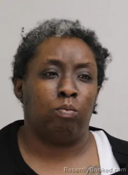 Mugshot of MEGAN TIPPS booked in Dallas County, Texas on April 6, 2026