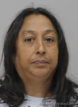 Mugshot of SYLVIA HERNANDEZ booked in Dallas County, Texas on April 7, 2026