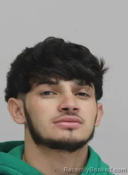 Mugshot of DARLING LICONALOPEZ booked in Dallas County, Texas on April 7, 2026