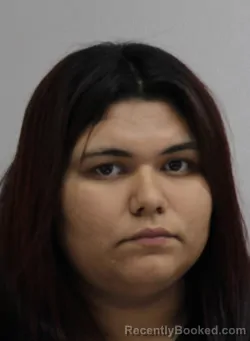 Mugshot of MARYANNE GUZMAN booked in Dallas County, Texas on April 7, 2026