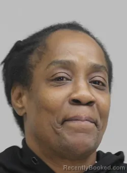 Mugshot of PAULA WILSON booked in Dallas County, Texas on April 7, 2026