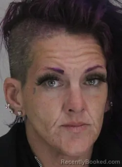 Mugshot of SUSAN FIDELINE booked in Dallas County, Texas on April 7, 2026